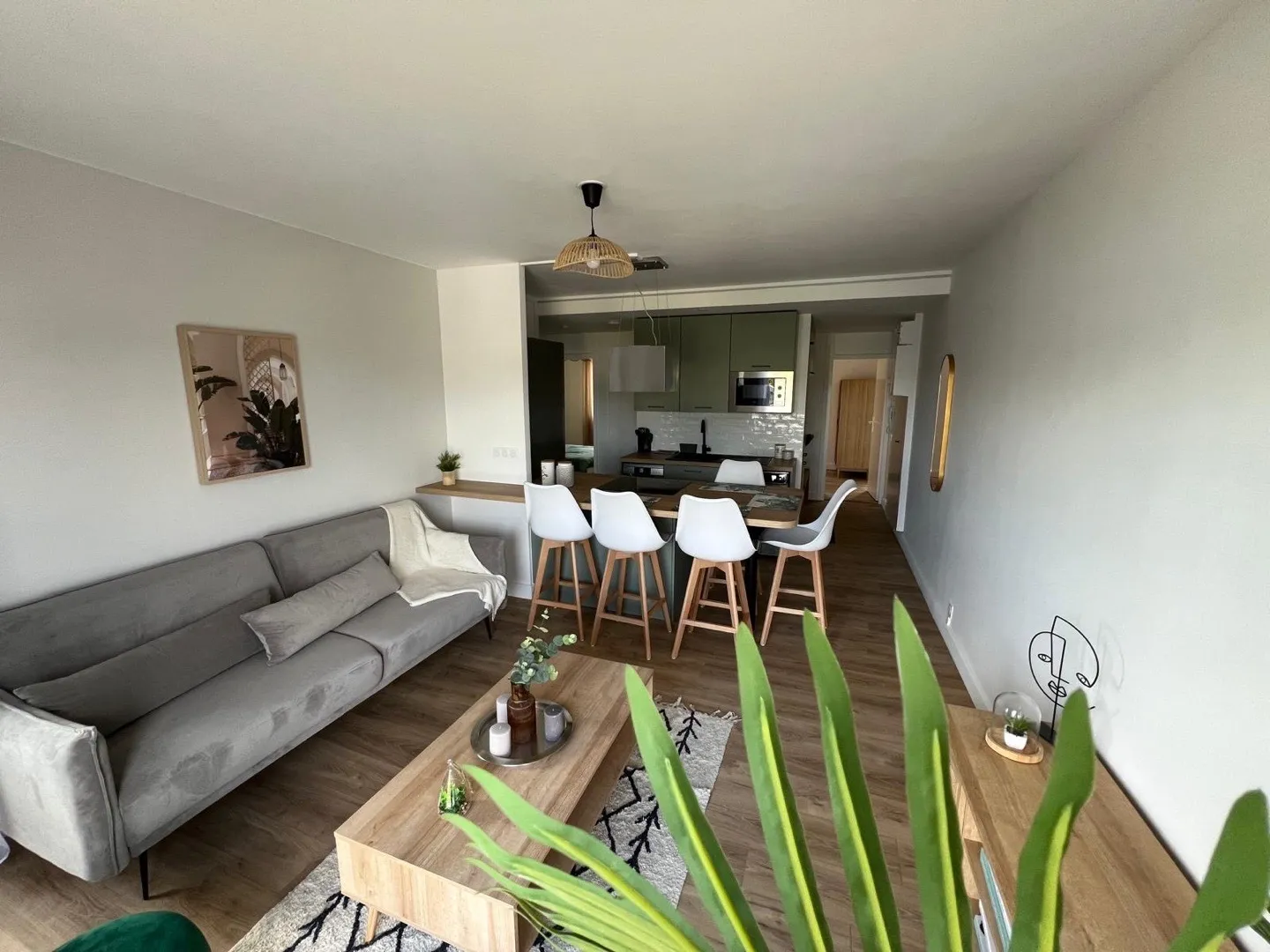 collocation 5 chambres