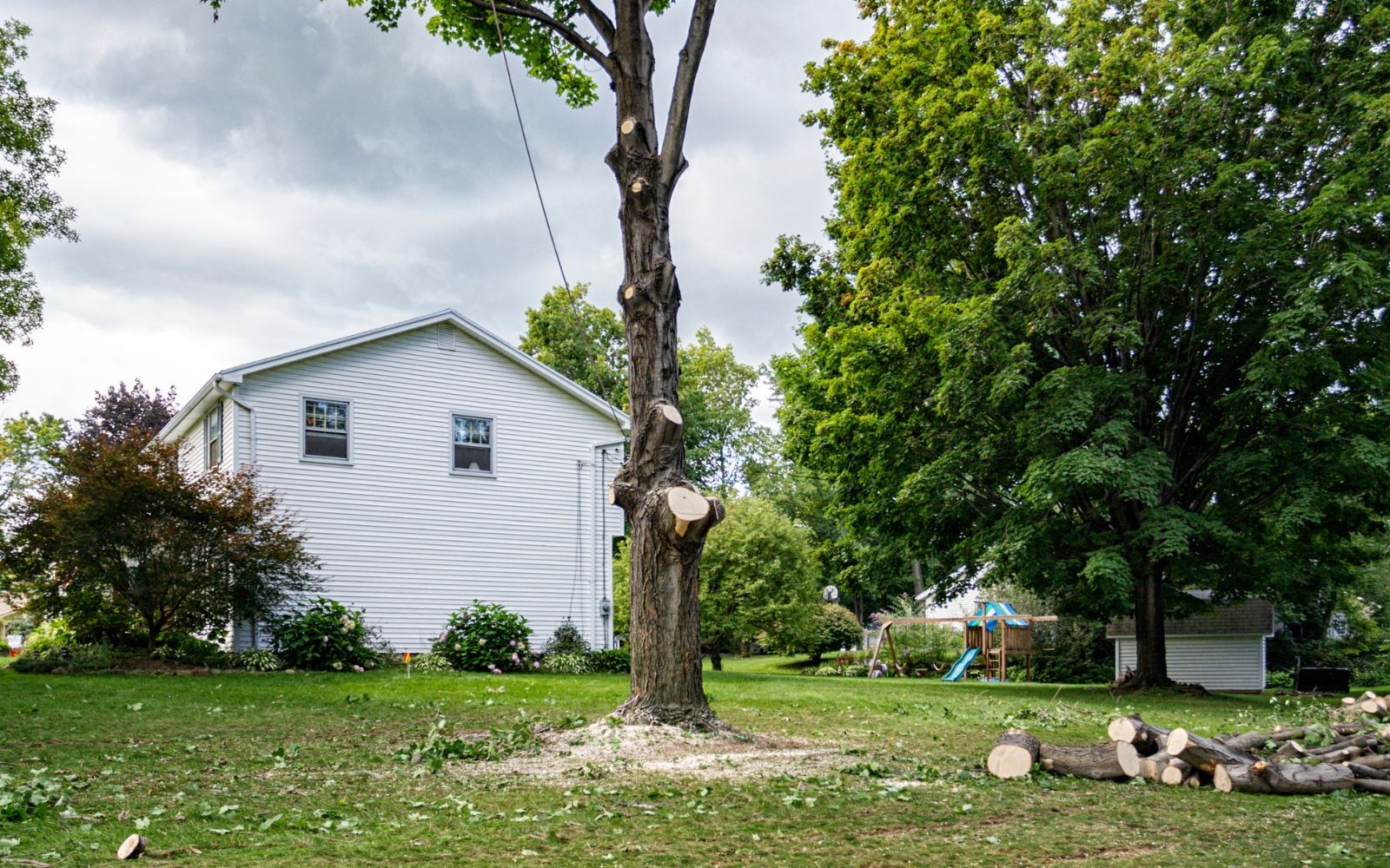 Do I need council approval for tree removal in Beaumaris?