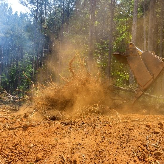 Is stump grinding environmentally friendly