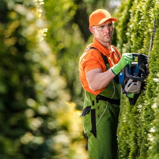 Is tree removal noisy or disruptive