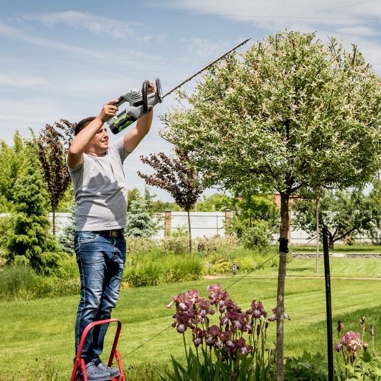 Can you trim trees for better street visibility