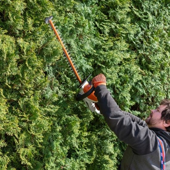 Can you clear farmland for agricultural use