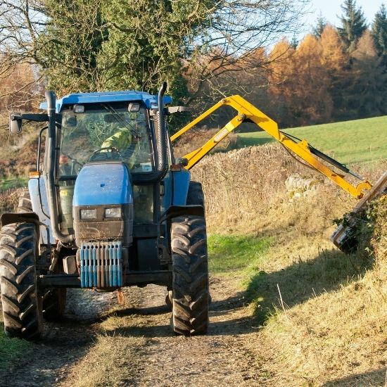 Do you provide advice on retaining natural vegetation