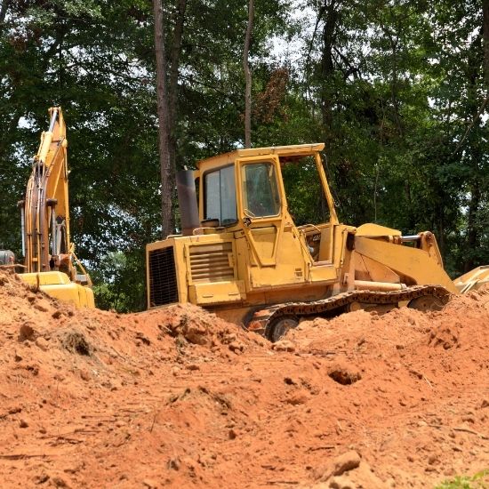 Can pruning prevent trees from growing into power lines