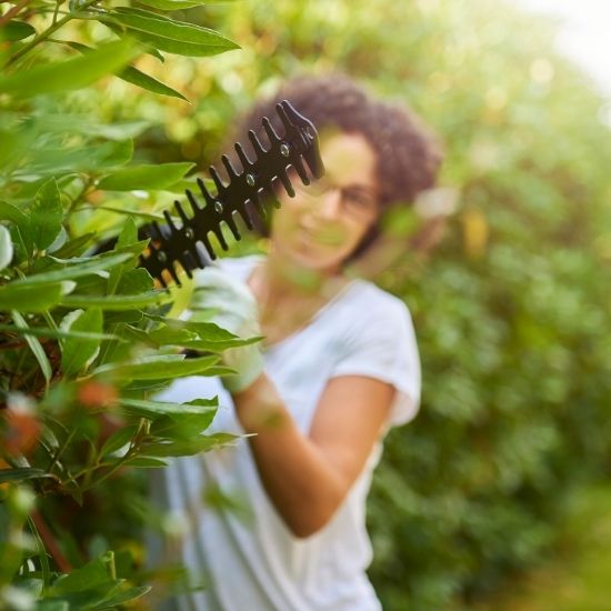 How do you protect property during tree removal