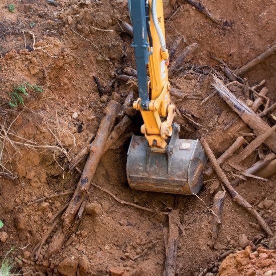 Do you handle emergency stump grinding
