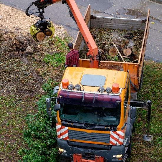 Do you offer consultation for large commercial projects