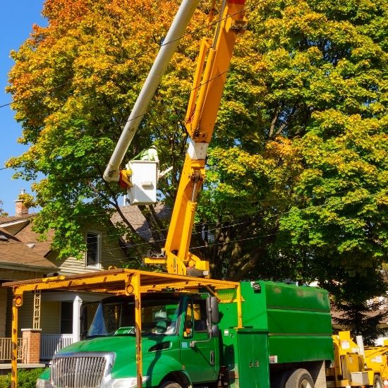 Can you clear farmland for agricultural use