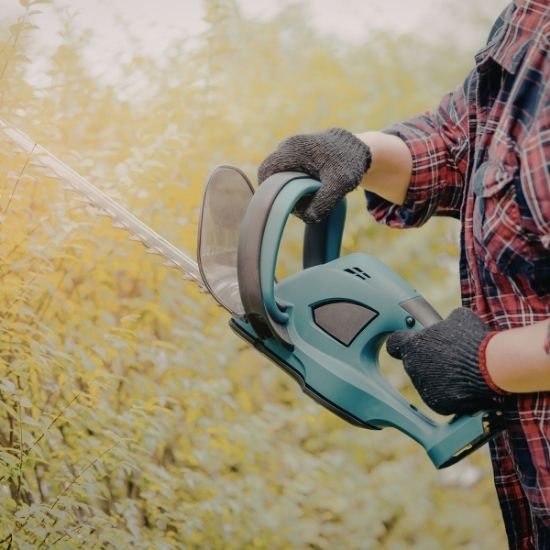 Can you safely remove trees on steep slopes