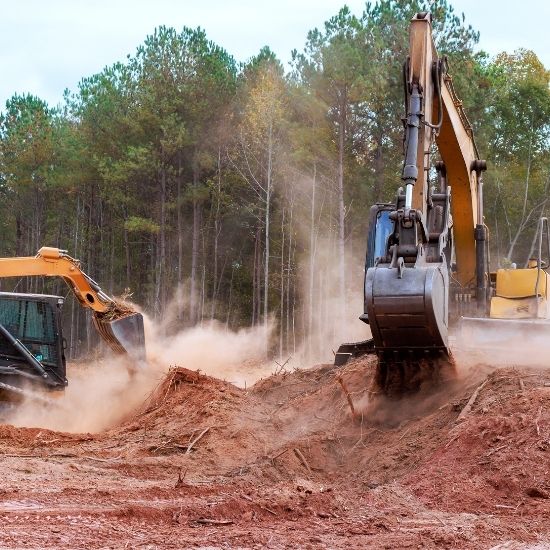 Do you provide advice on tree planting near patios