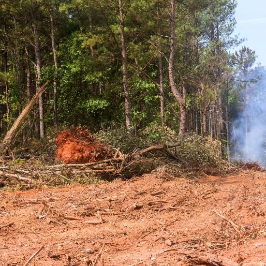 Do you offer land clearing for new construction