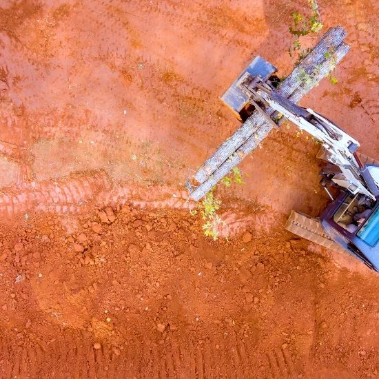 Can you remove palm fruit and seeds