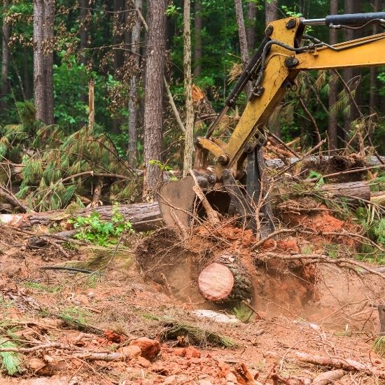 Do you offer commercial land clearing solutions