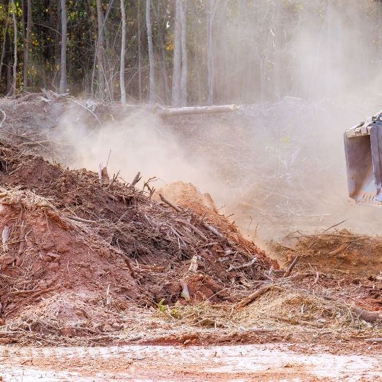 Can you handle difficult tree removals on sloped land