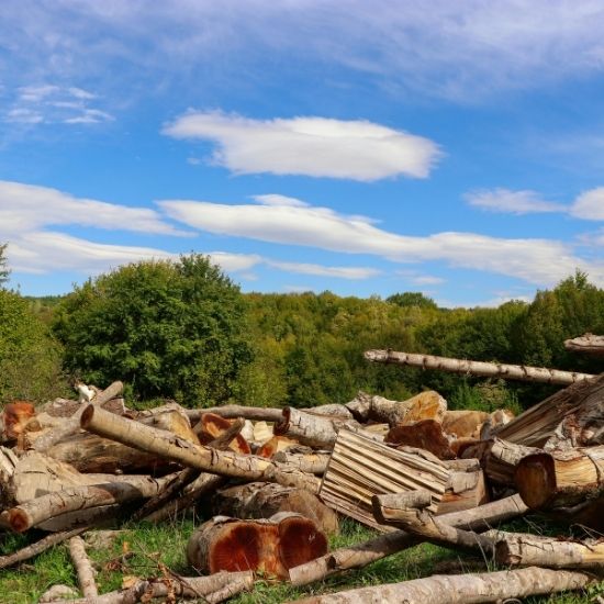 Do you remove stumps for landscaping projects