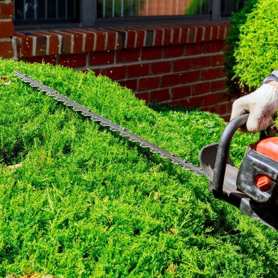 Do you remove tree waste after the job