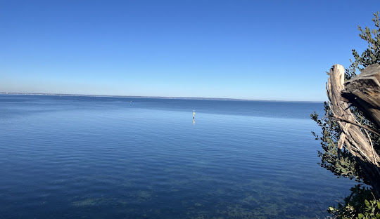 Beaumaris: Melbourne’s Coastal Suburb Boasting Scenic Views and Community Charm