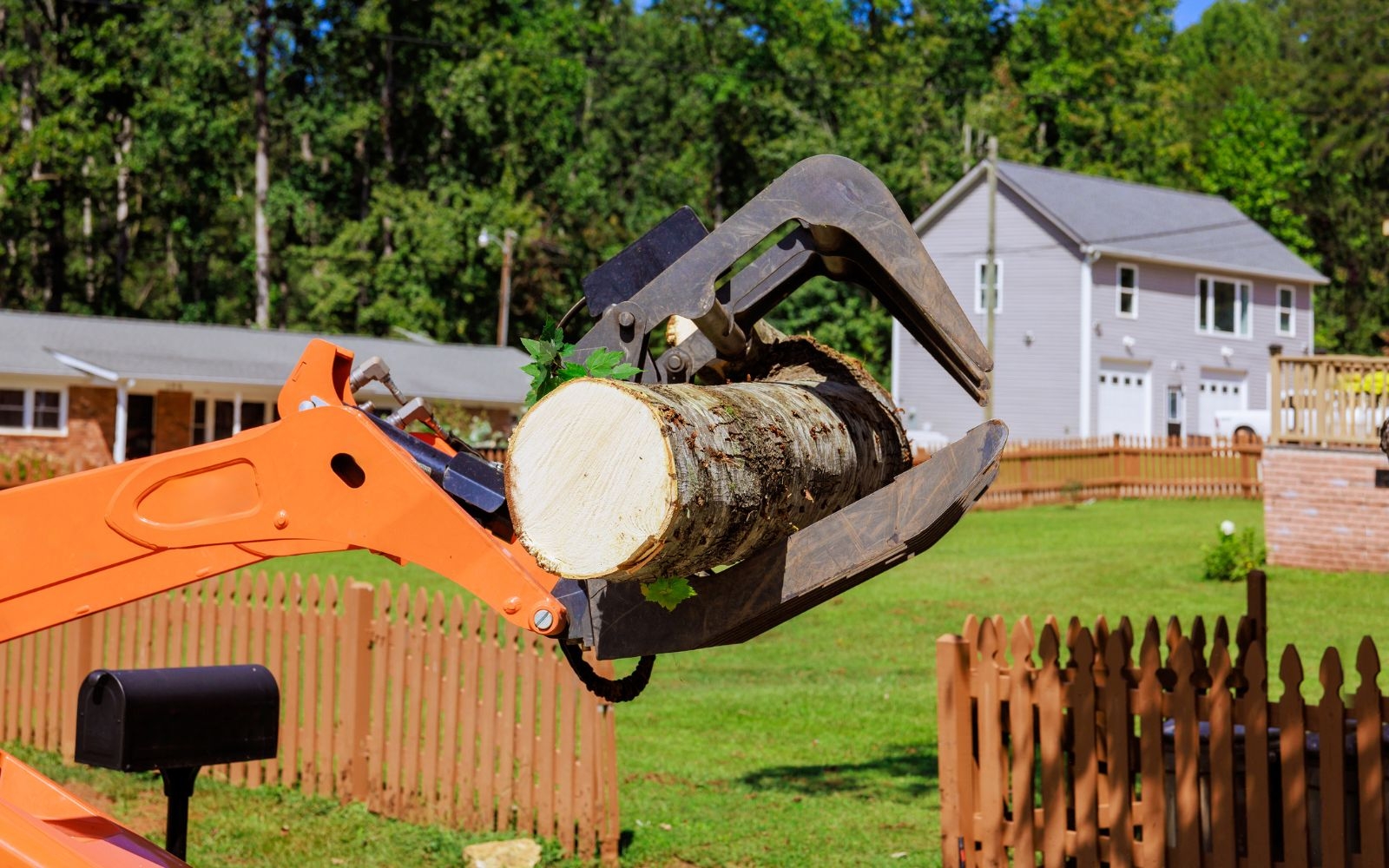 What is land clearing service Beaumaris Tree Removal Experts What is land clearing service