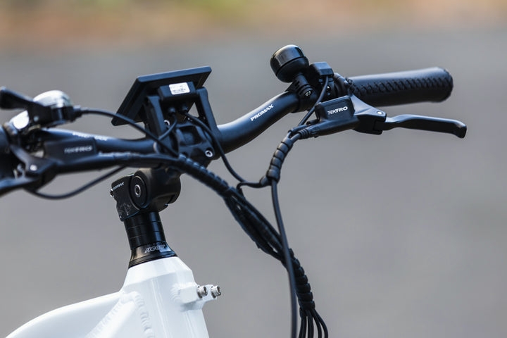 How do Dirwin e-bikes perform when climbing steep hills and challenging grades?