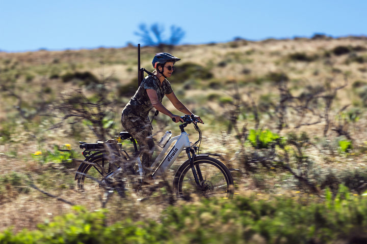 Can Pioneer Lite handle winter riding?