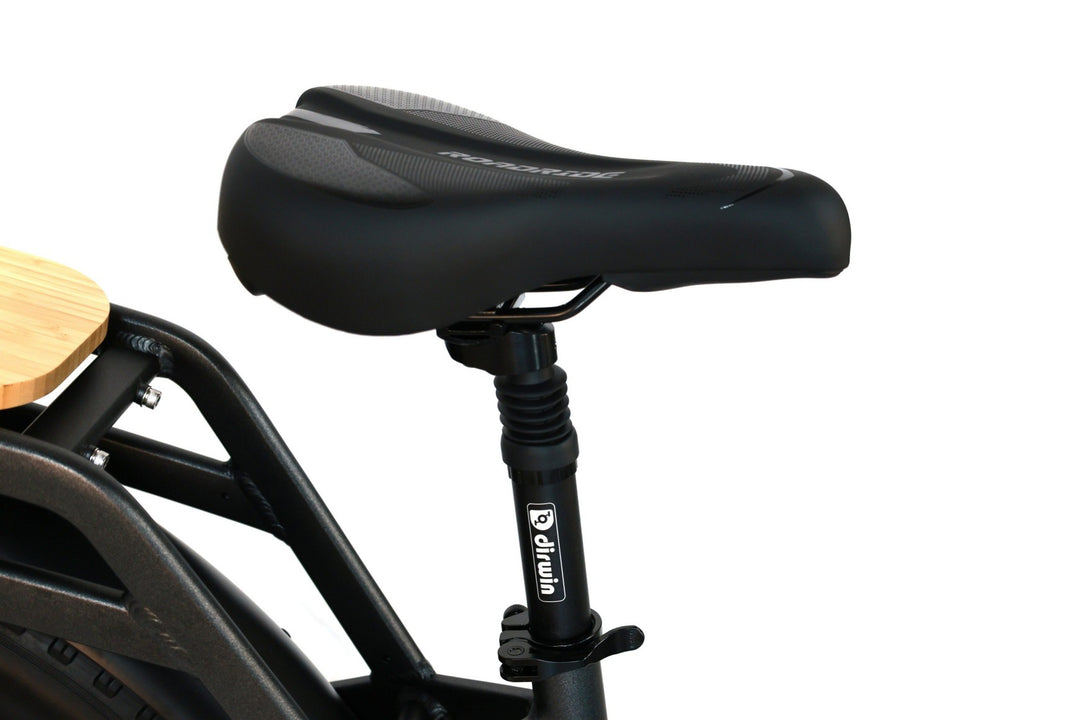 What is the total payload capacity of the Caravan Cargo Bike?
