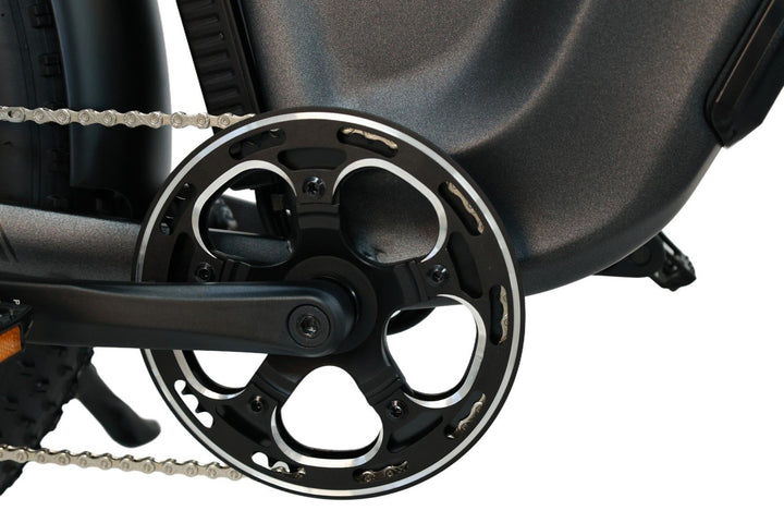 Carry Pets and Gear Effortlessly with Caravan