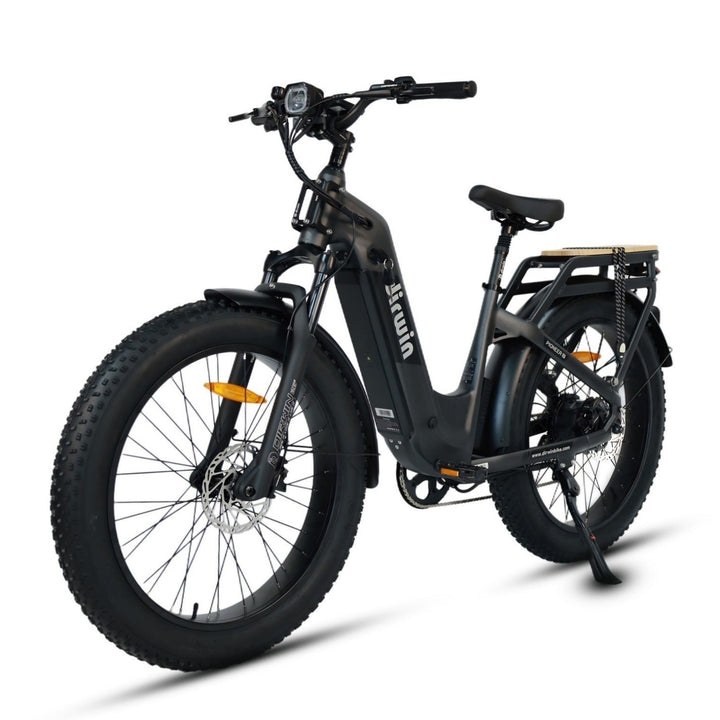 What does a 750W motor provide in Dirwin Pioneer electric bikes?