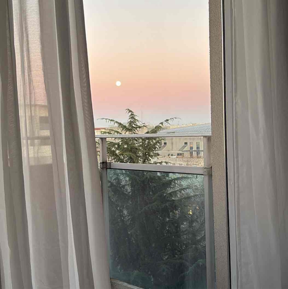 Photo de profil de capucine