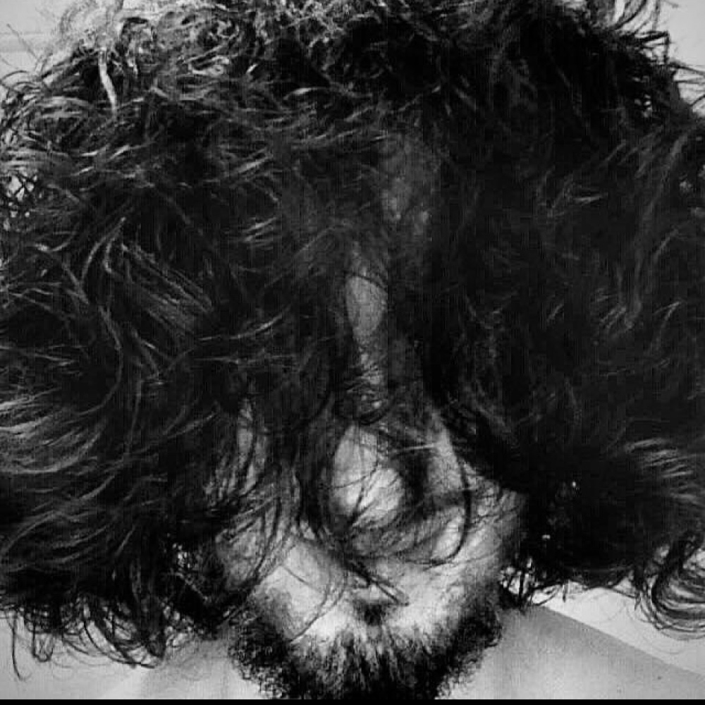 Photo de profil de Dona Tello