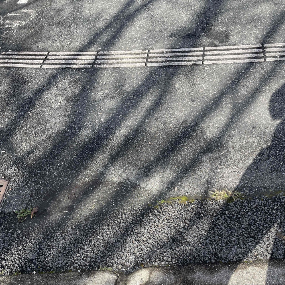 Photo de profil de Cabanel