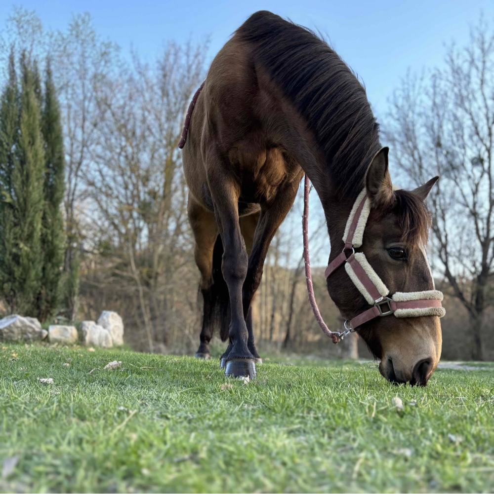 Photo de profil de debard fiona