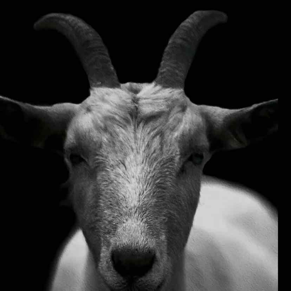 Photo de profil de Jsplv