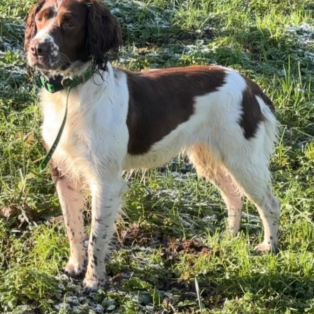 Photo de profil de Hugo Fosseprez