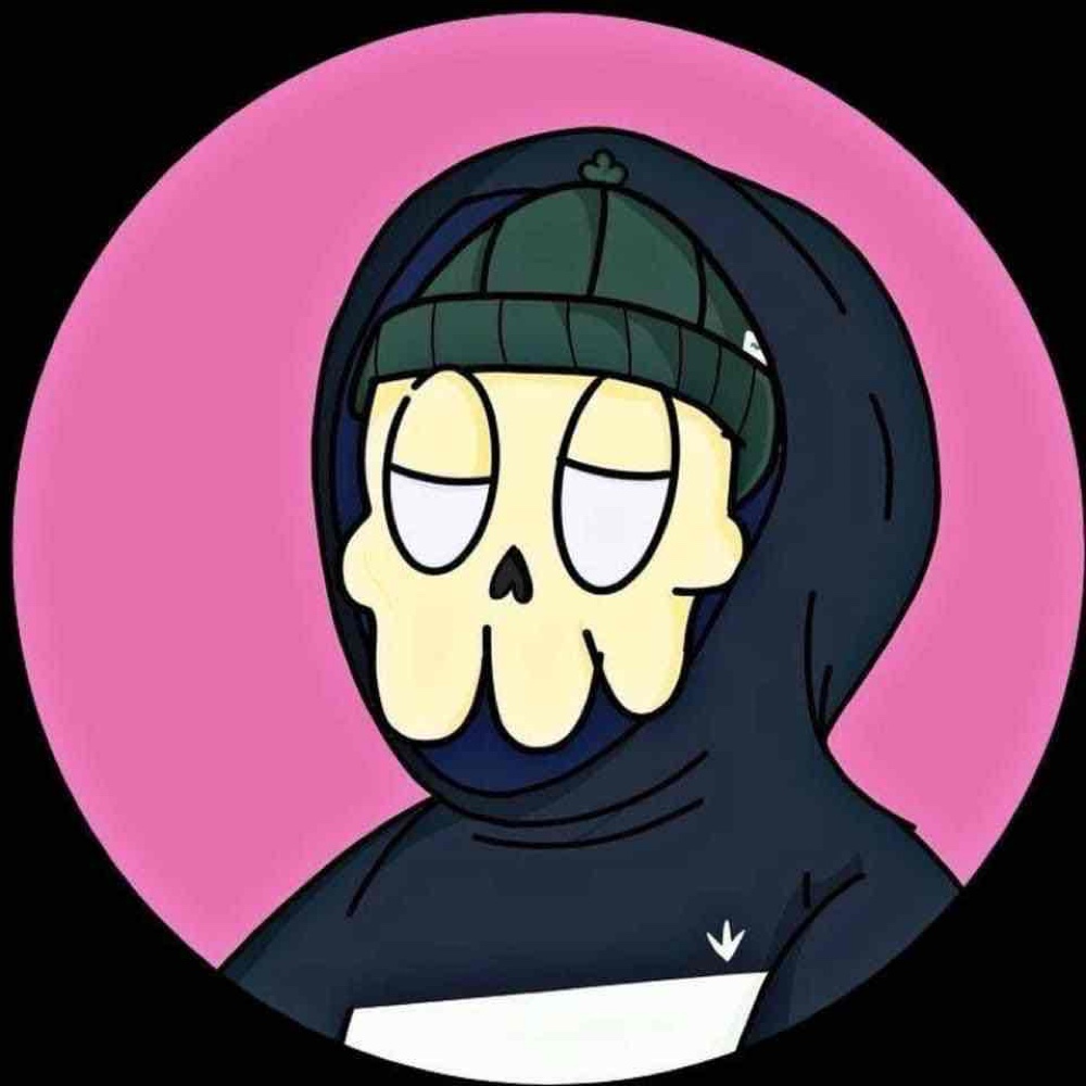 Photo de profil de Lowyck Liard