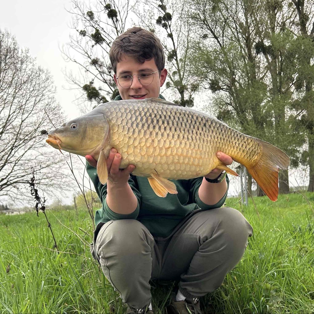 Photo de profil de Marceau Remy