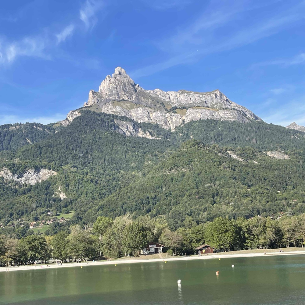 Photo de profil de linden marine