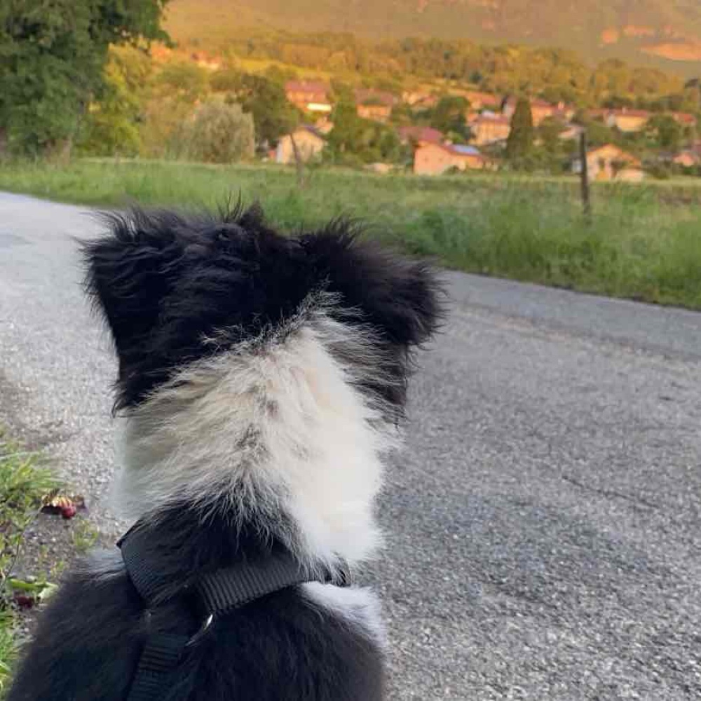 Photo de profil de Maxence