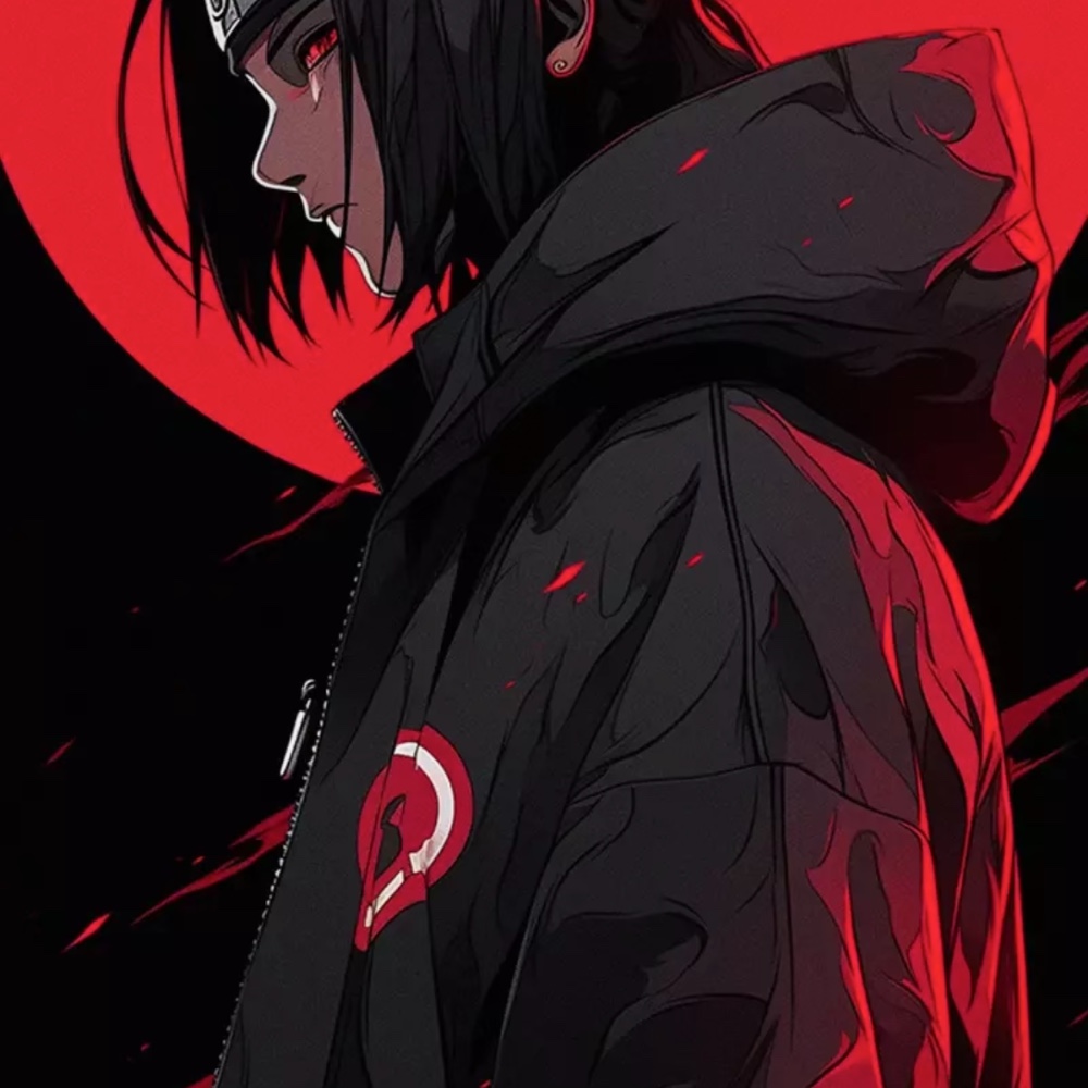 Photo de profil de Noam