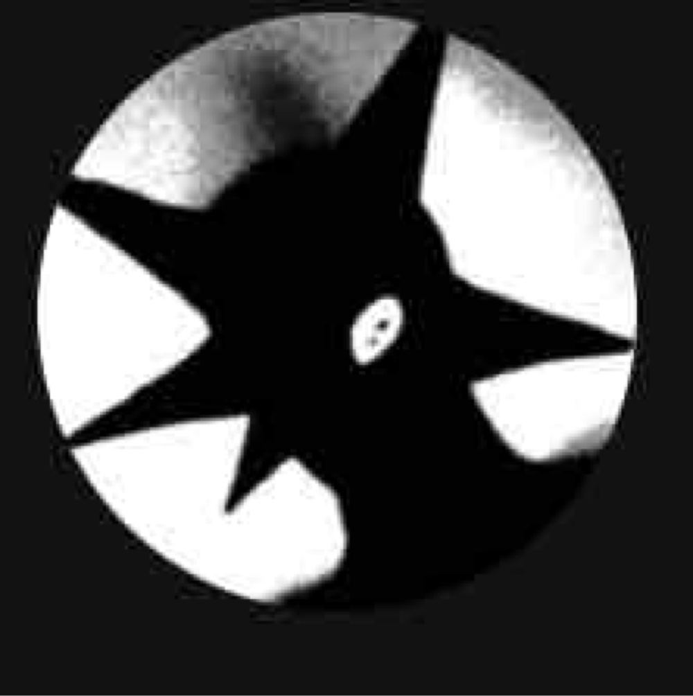Photo de profil de val zhm