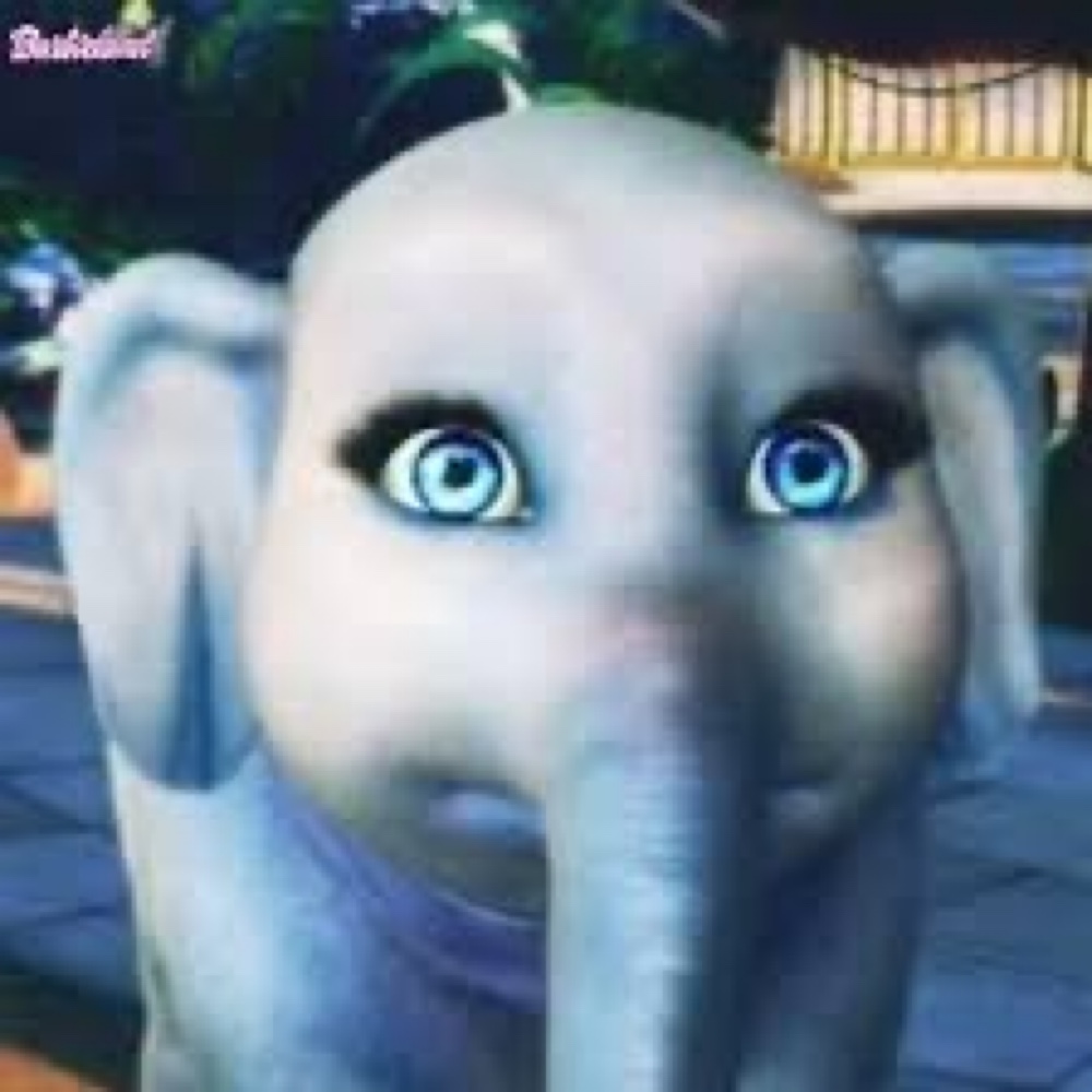Photo de profil de Fanny Couvin