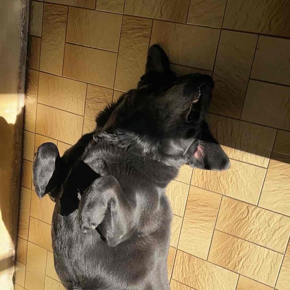 Photo de profil de chastagnaret