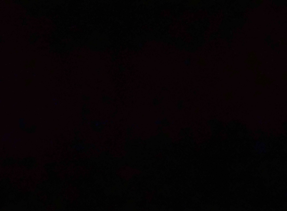 Photo de profil de Solai Ramu