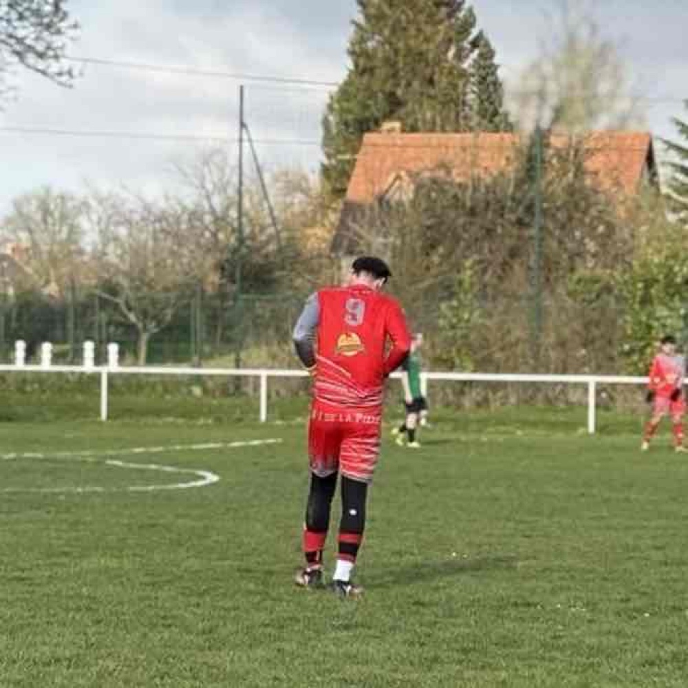 Photo de profil de Tom Guillard