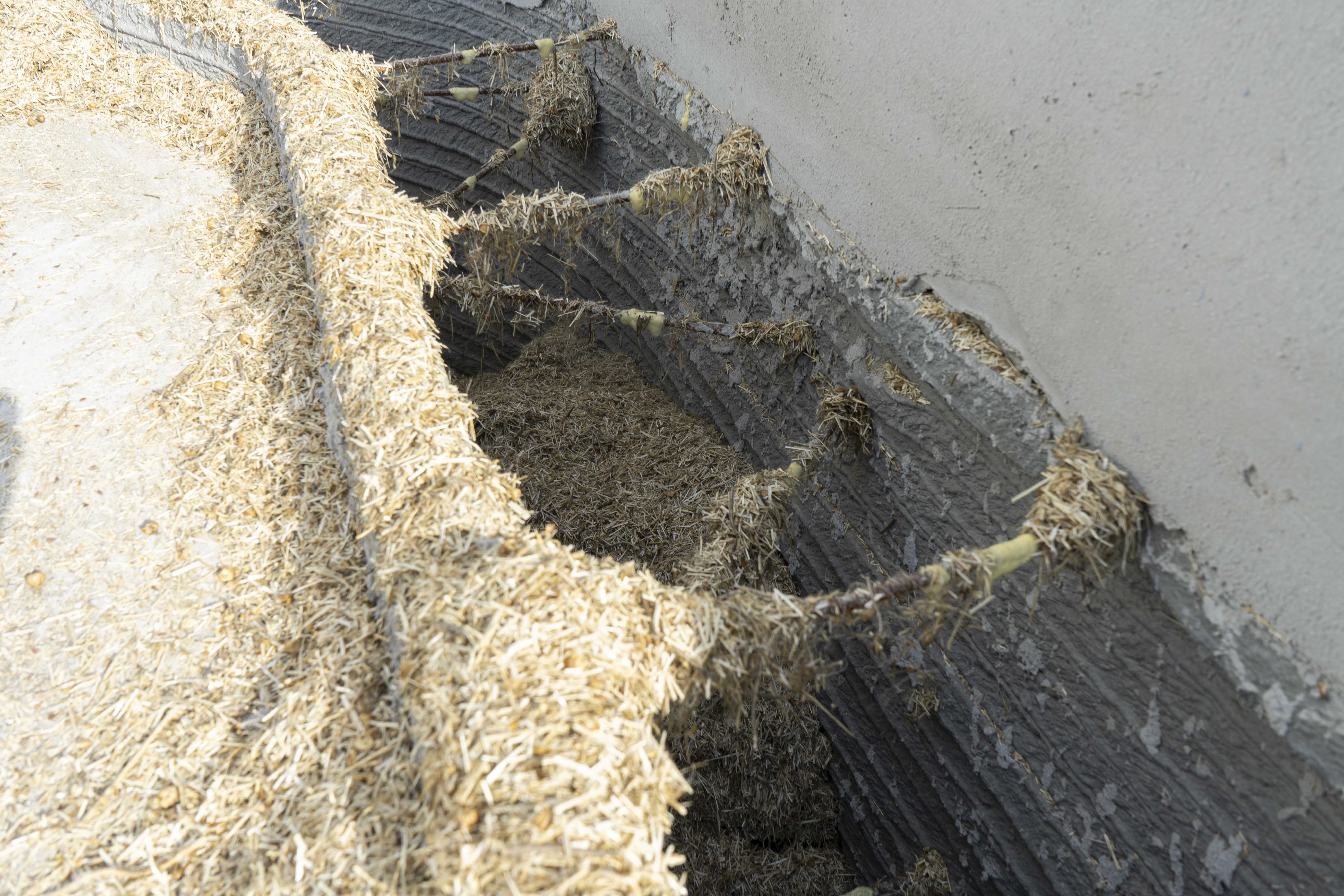 Wall built from flax concrete blocks