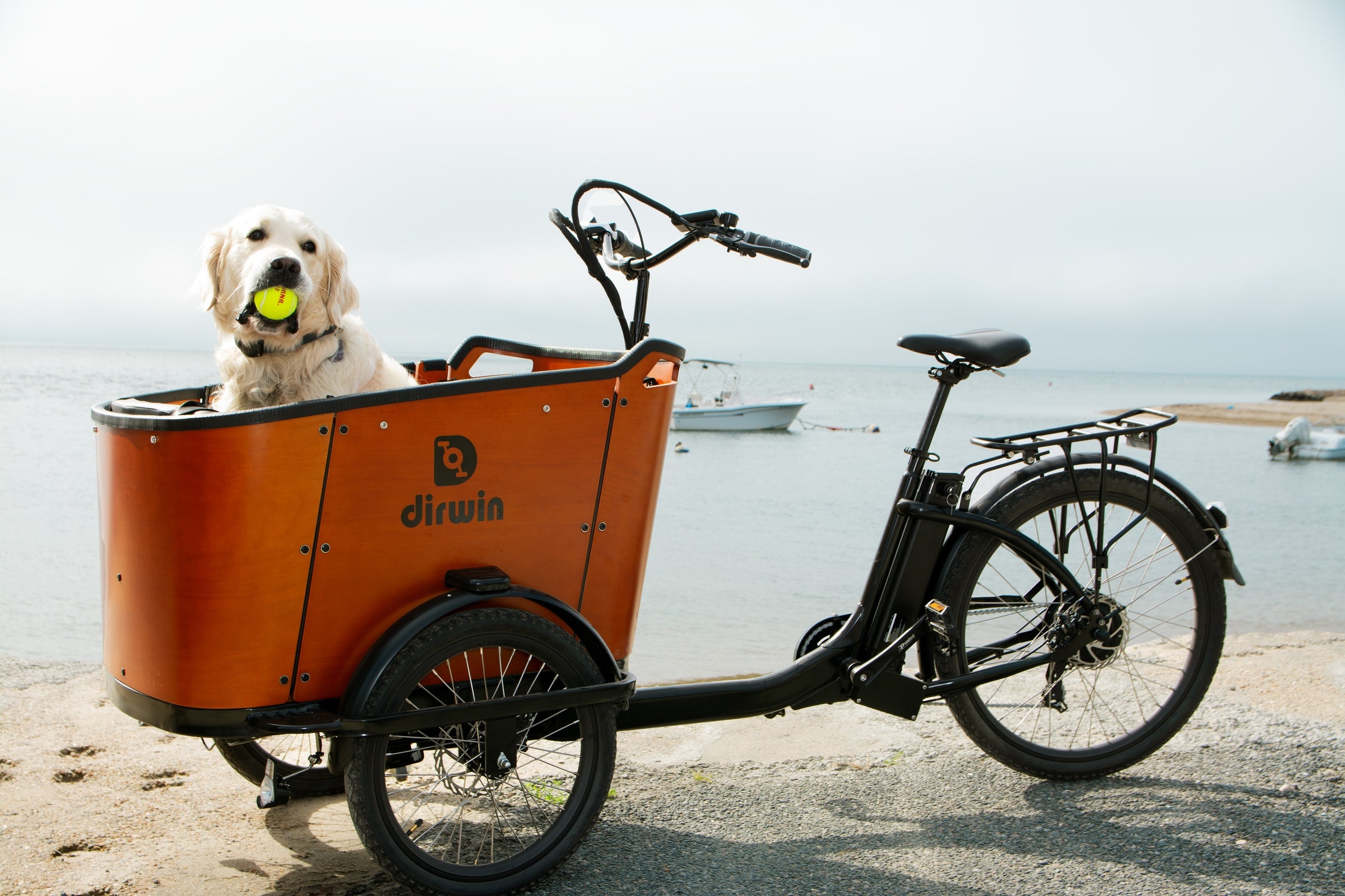 Caravan Cargo Ebike for Family and Passenger Transport