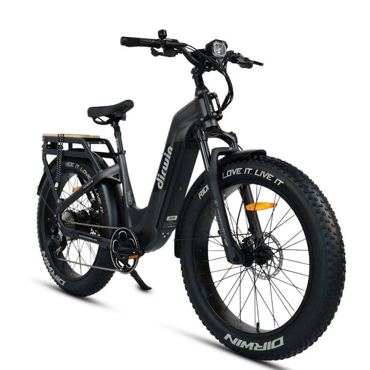 Front Cargo Electric Bikes Perfect for Pet Owners
