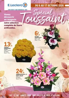 Couverture du catalogue Op toussaint 100% digital mosaique