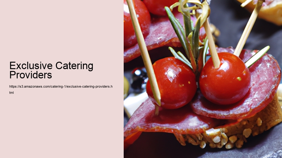 Exclusive Catering Providers