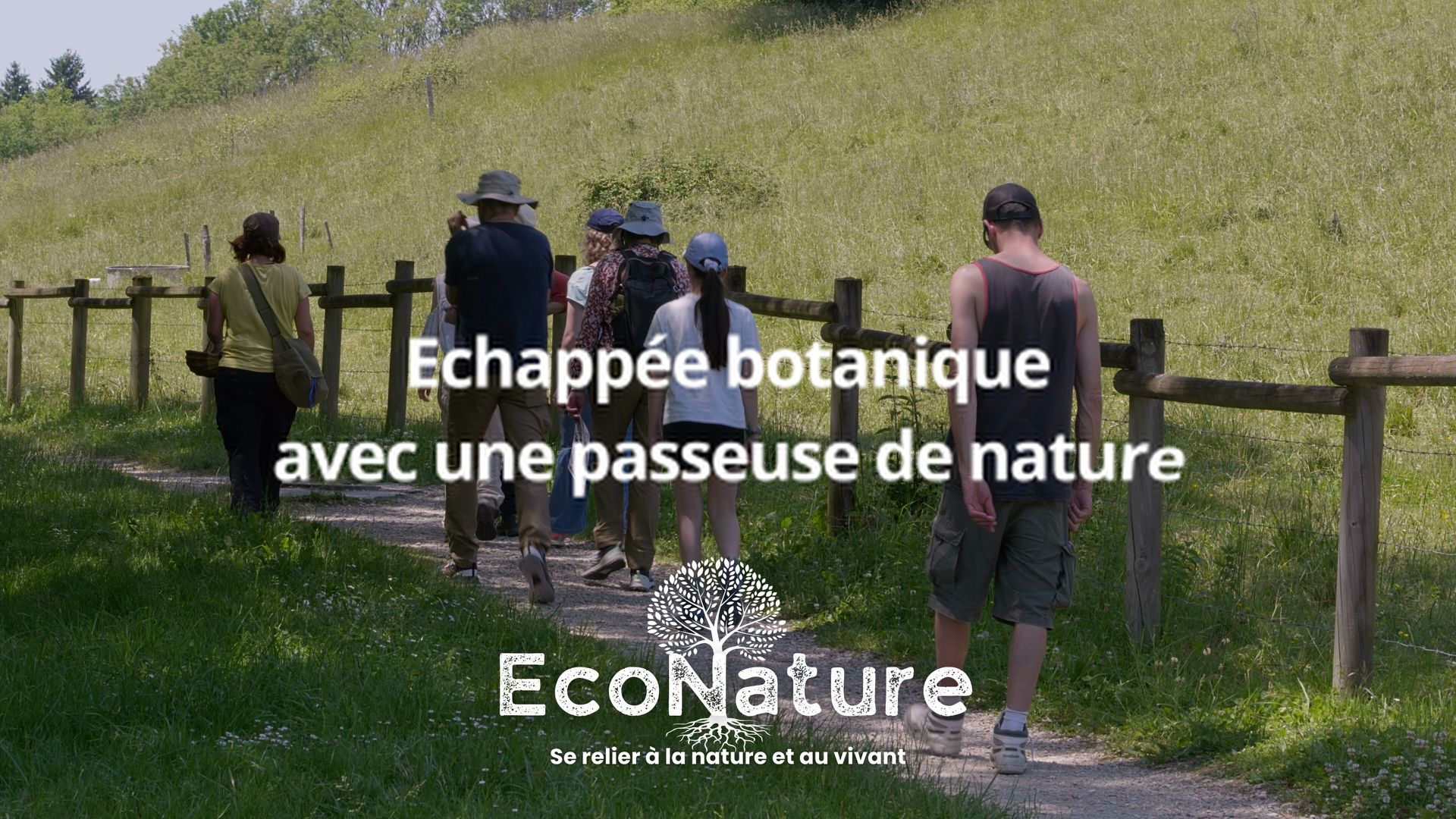 A botanical excursion