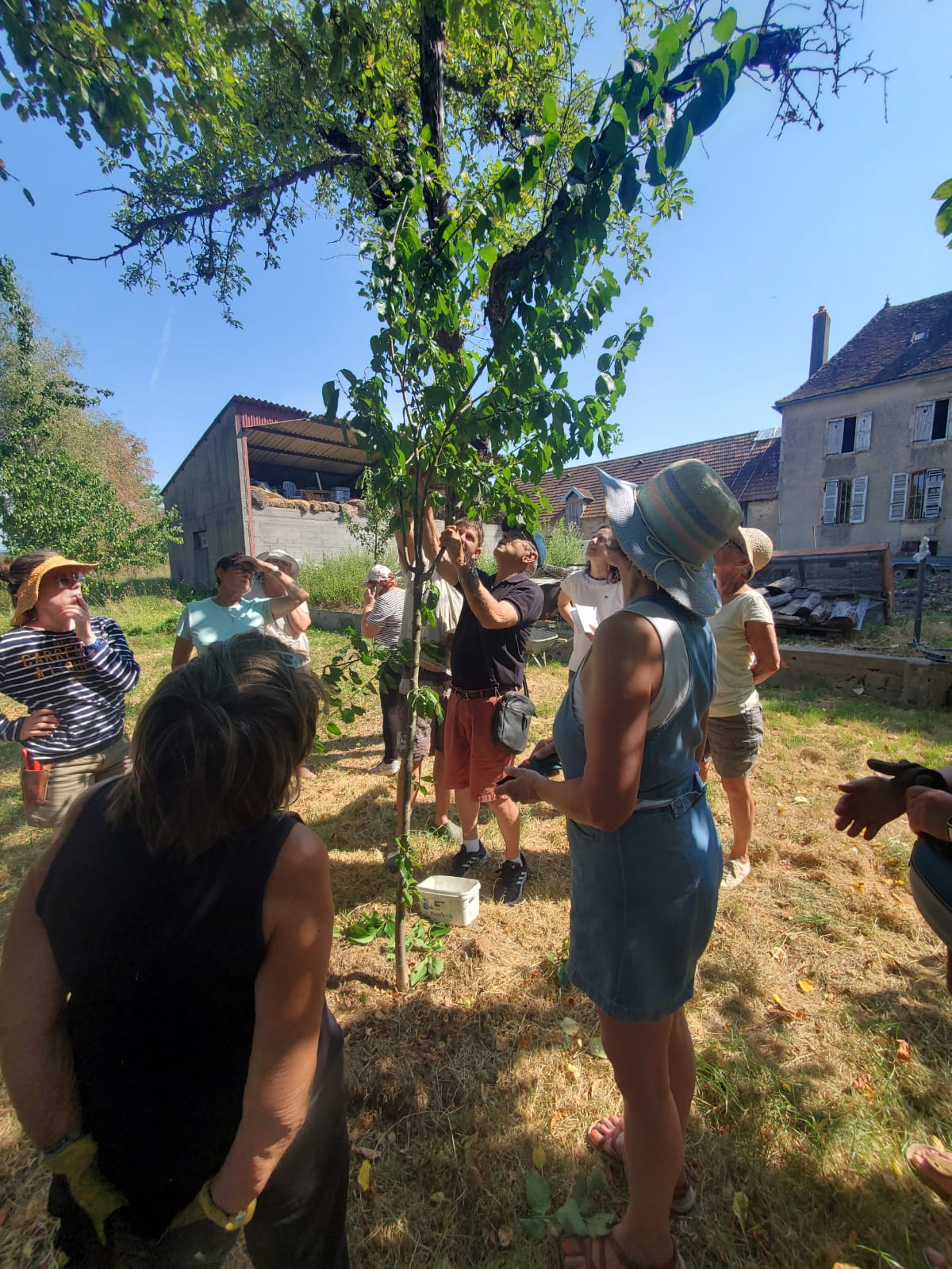 Deuxième photo de l’atelier arbres de juin au Relais